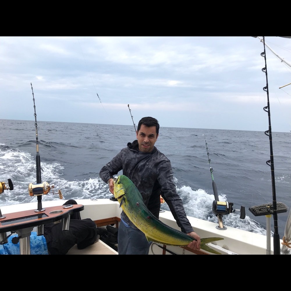 Meet your Posher, David